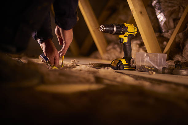 Best Best Insulation Companies  in Forrest, IL